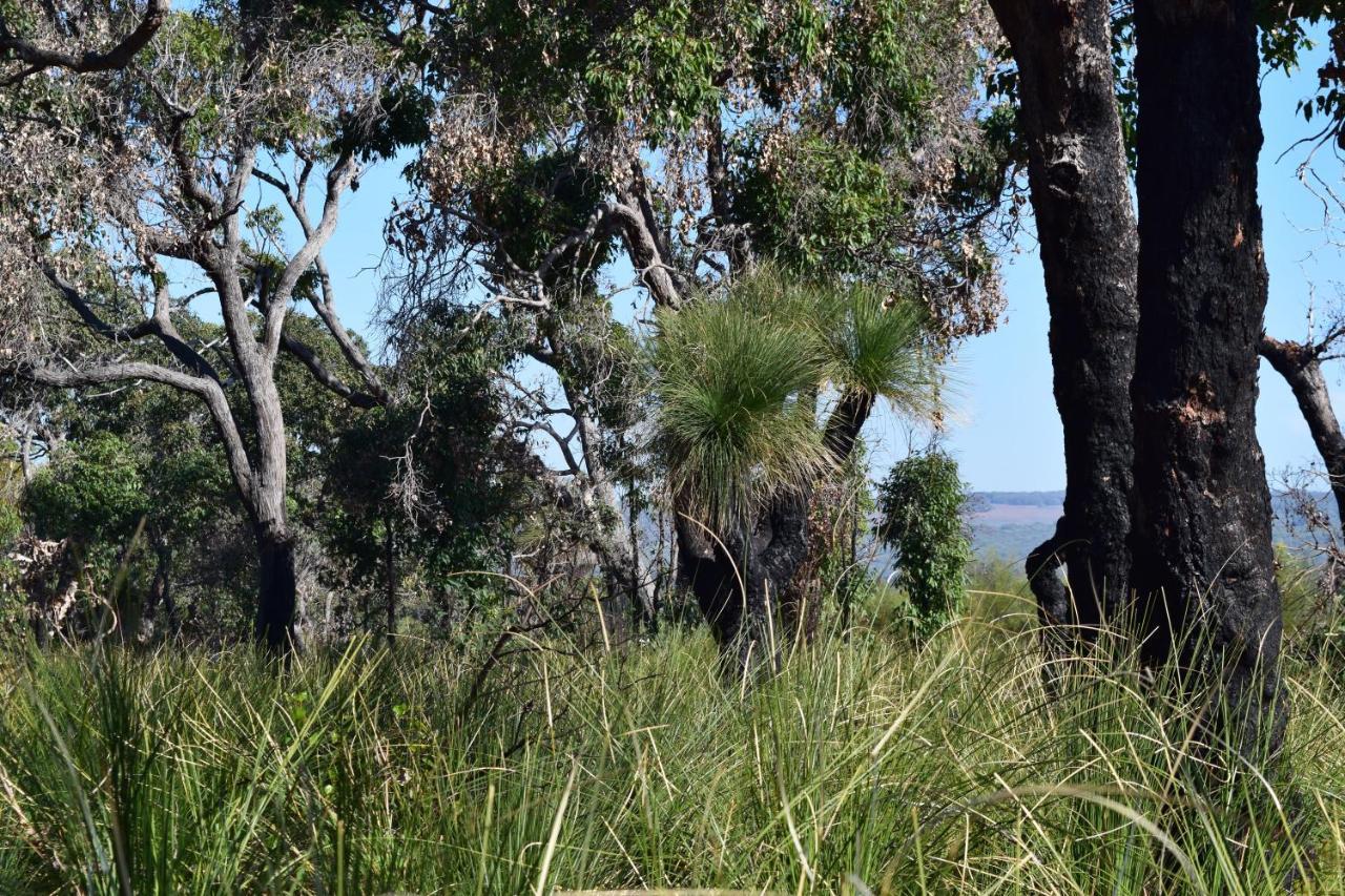 Eagle Bay House Bed and Breakfast Dunsborough Buitenkant foto